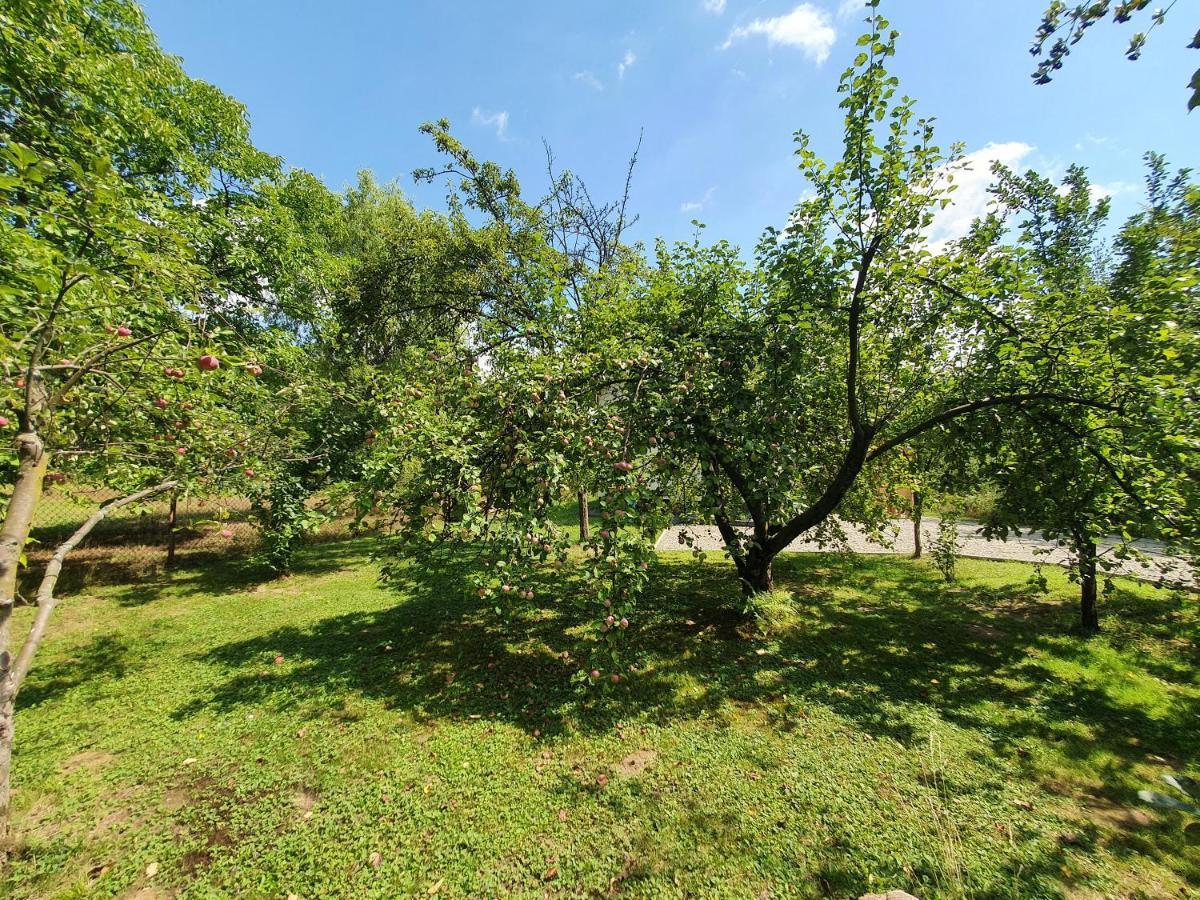Tetmajera View & Garden Villa Dębica Eksteriør billede
